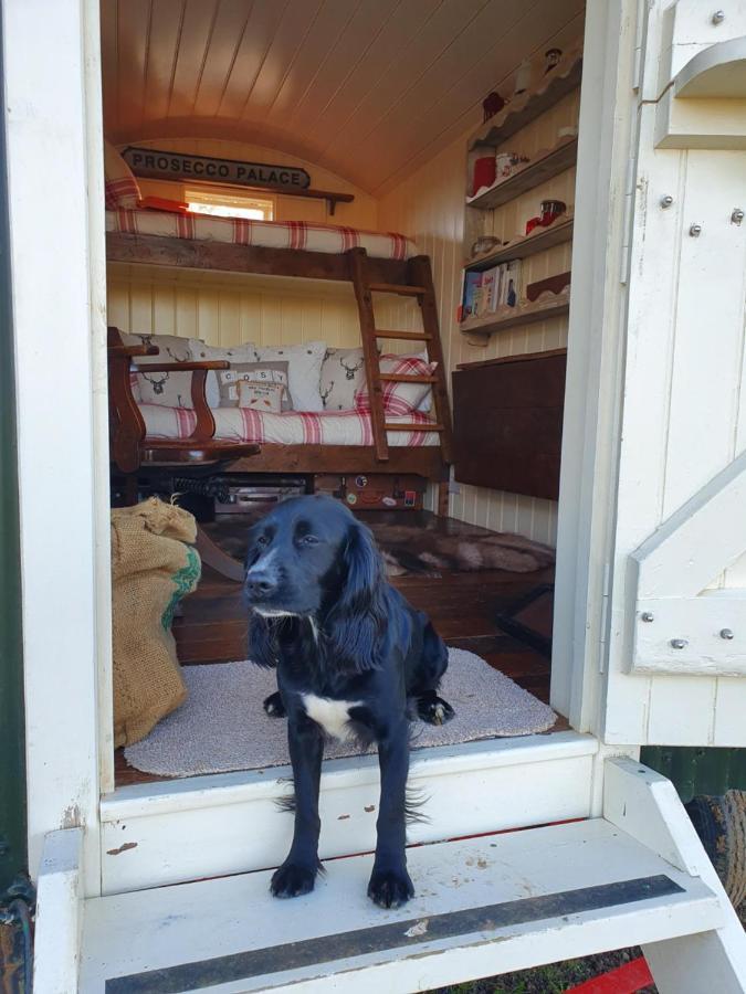 The Delkin Shepherds Huts คาสเซิลโคมบ์ ภายนอก รูปภาพ